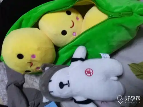 看看我娘家的毛绒玩具