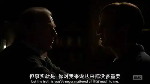 绝命毒师外传也开挂,一个混混律师的发迹史索尔古德曼