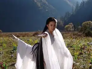 刘亦菲华语影视女演员流行乐歌手
