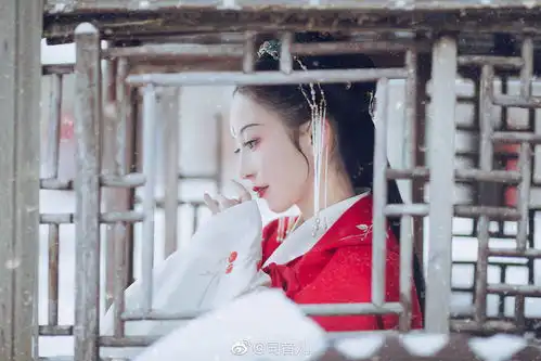 司音堆糖,美图壁纸兴趣社区
