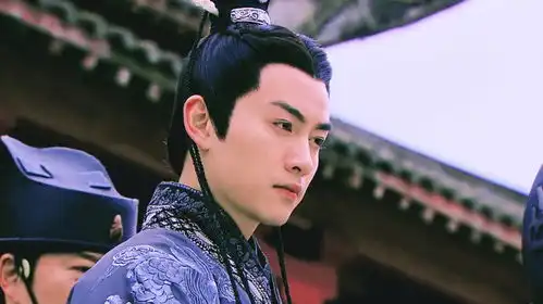 我完全理解孙俪看到他惊为天人了