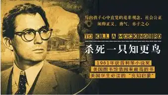 善良的你不要杀死一只知更鸟
