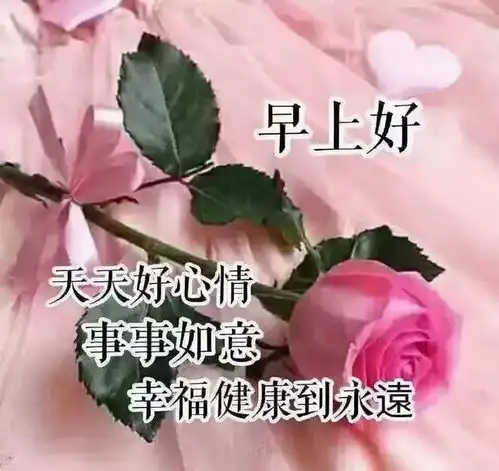 早安吉祥祝福和问候总是满分给你精彩,早安
