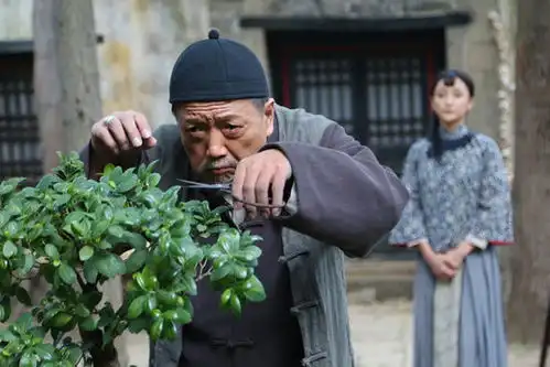 红高粱完美收官秦焰四剧刷屏获丰收年