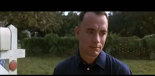 解析阿甘正传只要用心付出,一定能眺望到最美的极光
