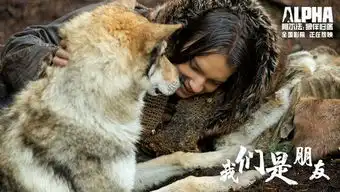 阿尔法狼伴归途揭示史上第一只狗秘密反差萌引观众疯狂示爱
