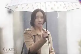 遇见王沥川结局引争议编剧施定柔表示番外见
