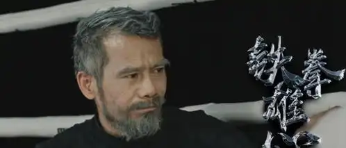 少林寺大师于海重出江湖,铁拳雄心再现英雄本色
