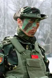 任天野在我是特种兵