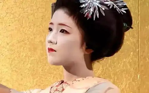 好莱坞电影艺伎回忆录竟是篡改事实现代艺伎的幕后秘辛哔哩哔哩
