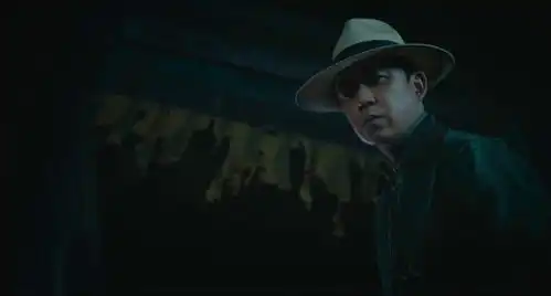 怒晴湘西深山停尸房里的棺材里居然有只猫,被打一枪后居然安然无恙跑走了