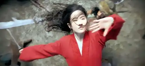 这是一部没什么惊喜的花木兰
