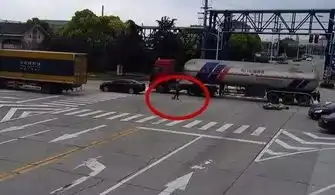 主人泪崩张家港现实版忠犬八公舍身追汽车
