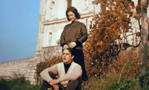 法国美男阿兰德龙辜负茜茜公主,如今85岁仍孑然一身
