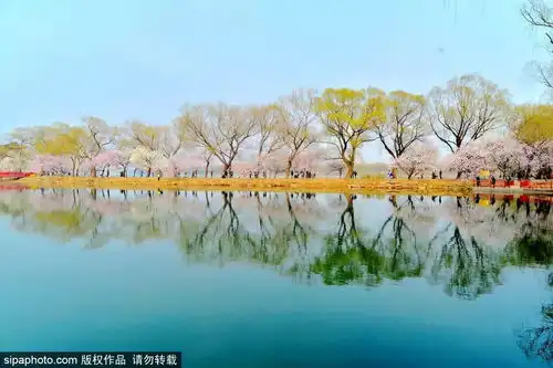 比三生三世的桃花更美海淀这个地方才是真正的人间仙境
