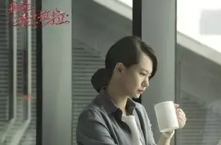 我是杜拉拉高清剧照壁纸
