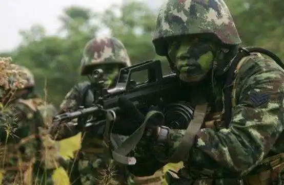 退役后的特种兵一旦犯罪了怎么办看完才知道国家不会让我们失望
