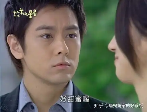 如何评价电视剧放羊的星星
