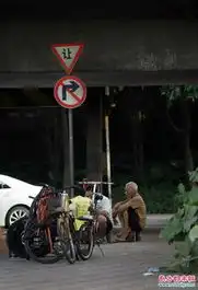 图片故事园林工蜗居立交桥下十年