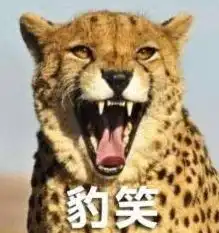 娱乐圈大佬们在这档节目爆了多少料
