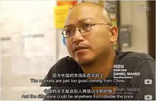 塑料王国一部已经被封杀的良心之作
