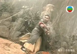 古天乐版神雕侠侣很精彩的三段武打戏这些特效镜头很不错