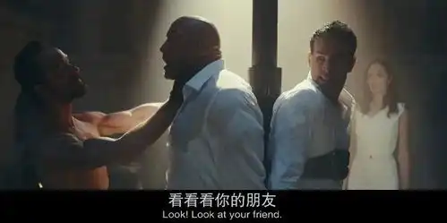 这部年度爽片太上头,巨石强森死磕神奇女侠,破网飞收视纪录

