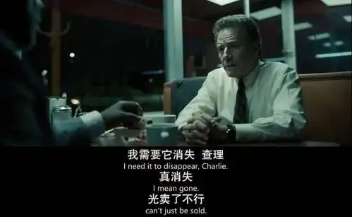 绝命毒师之后,他又演了一部9.1分神剧
