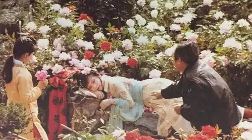 整本书阅读红楼梦怎么读