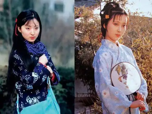 你不知道的红楼梦试镜万人,公费整形,设计2700套服装
