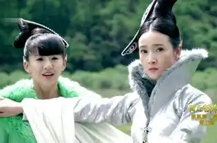 兰姨是谁演的,兰姨扮演者,青丘狐传说兰姨