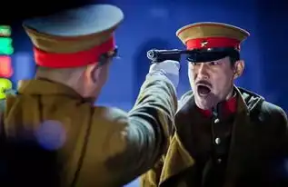 电视剧少帅里面的中国通们