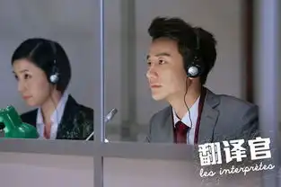 翻译官曝酷黑海报杨幂黄轩逐译者之争三
