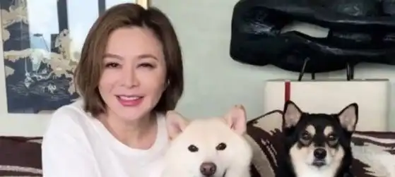 香港知名美女演员近况曝光,一人两狗独居豪宅,很享受现在的生活