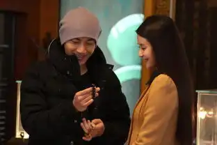 千山暮雪续集高清完整版下载
