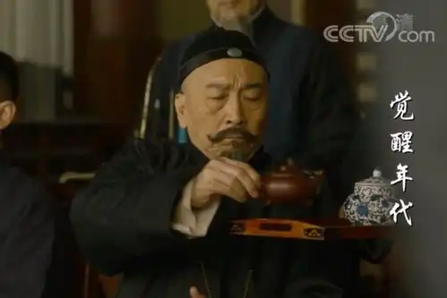 为什么看觉醒年代的人这么少啊

