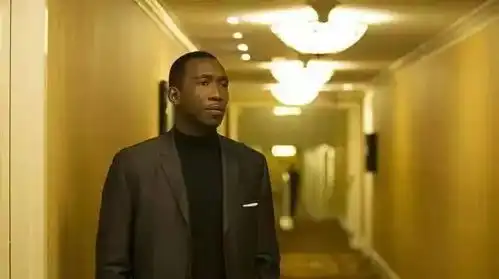 狂赚4亿回顾绿皮书中令人感动的20个温暖瞬间
