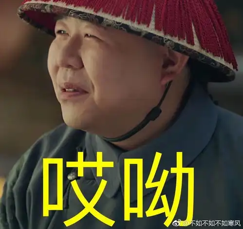 看延禧攻略看的我好想看那种大型清宫情景喜剧
