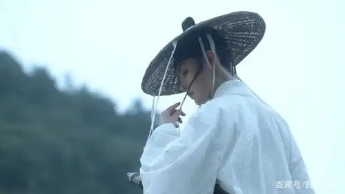 雪中悍刀行两集过后,被央视调整到深夜档,收视率跌至0.85