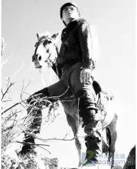 众星云集建党伟业六月新片观影指南