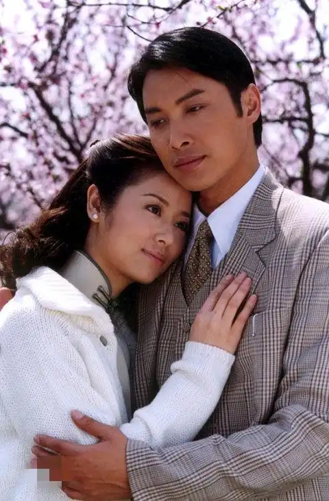 刘德华剧照半生缘