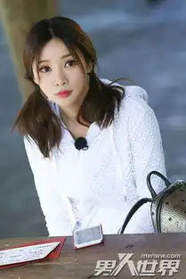 揭秘柳岩是怎么出名的柳岩走红靠的是什么4