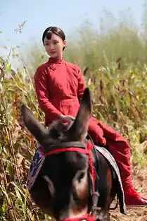 电视剧红高粱能否再创经典
