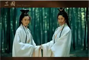 二乔的婚姻生活幸福吗江东二乔最终结局