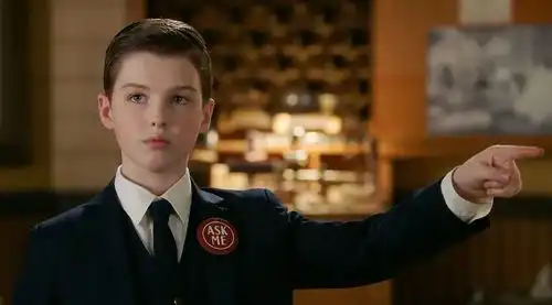 开播两集评分就高达9.5,生活大爆炸衍生剧的水准也太高了