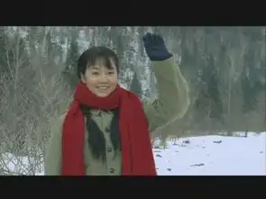 北风那个吹安建执导电视剧搜狗百科