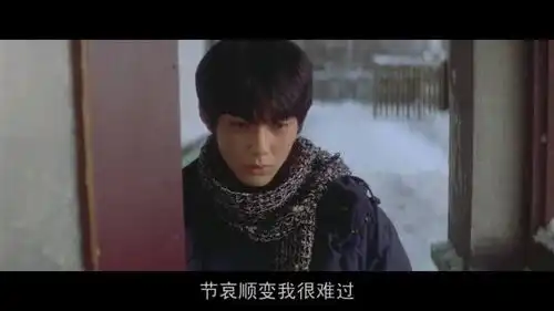 情书假如你最爱的人死去了,你却发现