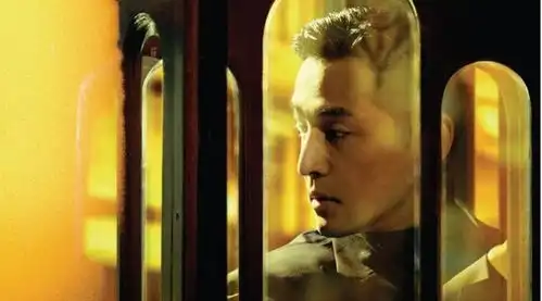 繁花音乐专辑正式发行马伊琍陈龙原声演唱,歌单揭秘阿宝与三女主意难平结局