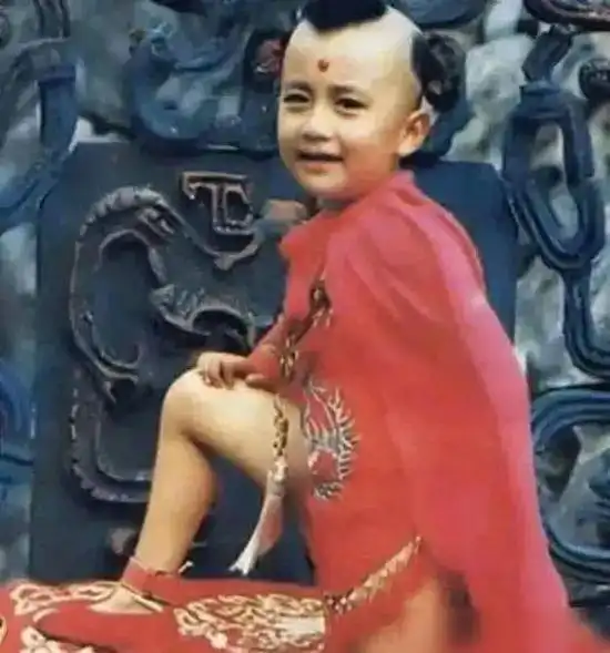 揭秘童星红孩儿开挂之路北大保送硕博连读,持股51家公司,身家过亿