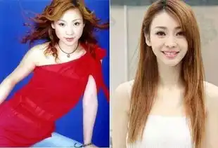 网红鼻祖李小璐回应整容,曹颖惊悚变脸,郑爽大s萧亚轩关于整容问题她们都是怎么回应的
